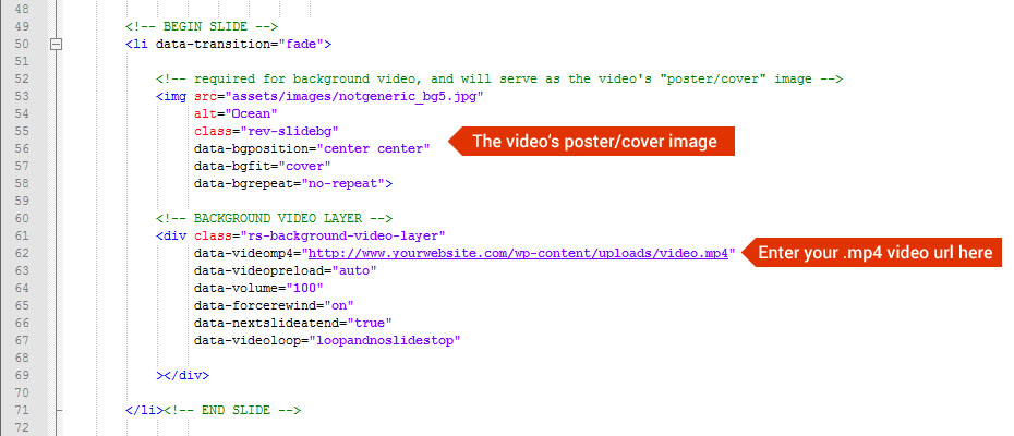Background Image & Video – ThemePunch